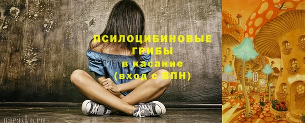 молекула духа Вязники