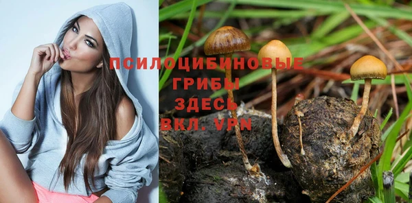молекула духа Вязники