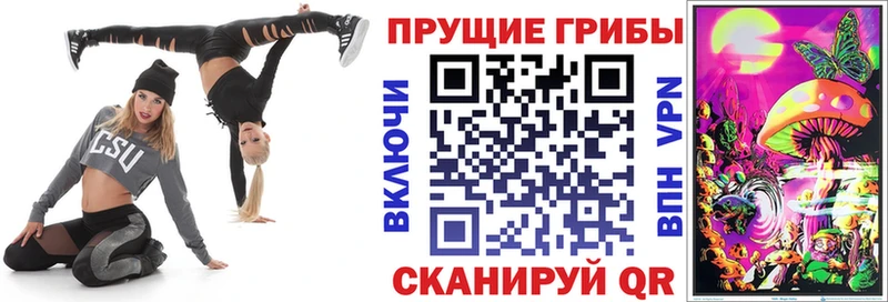 Галлюциногенные грибы ЛСД Змеиногорск