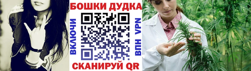 Бошки Шишки тримм Змеиногорск